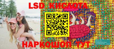 крисы Лесосибирск