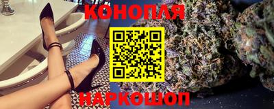 крисы Лесосибирск