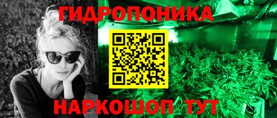 крисы Лесосибирск