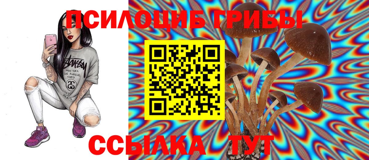 где купить наркоту  Галлюциногенные грибы мухоморы  Вход с VPN  Псилоцибиновые грибы мухоморы  Янаул 